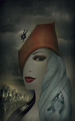 Phantom Lady 1613470215 Book Cover