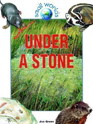 Under a Stone 0613195361 Book Cover