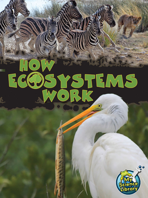 How Ecosystems Work 1618102206 Book Cover