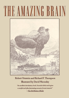 The Amazing Brain B09L74R1RF Book Cover