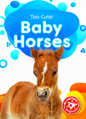 Baby Horses 1644874873 Book Cover