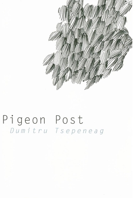 Pigeon Post 1564785165 Book Cover