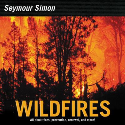 Wildfires 0062345060 Book Cover