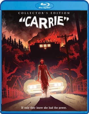 Carrie            Book Cover