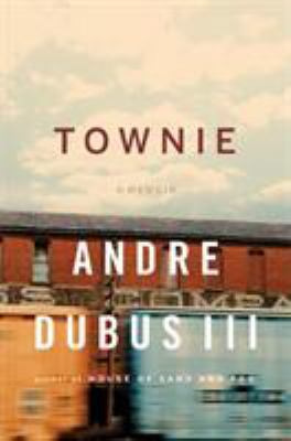 Townie: A Memoir 0393064662 Book Cover