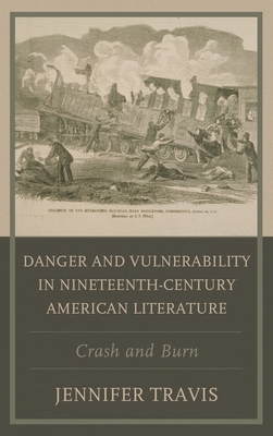 Danger and Vulnerability in Nineteenth-century ... 1498563430 Book Cover