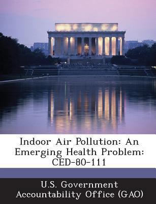 Indoor Air Pollution: An Emerging Health Proble... 1289170908 Book Cover