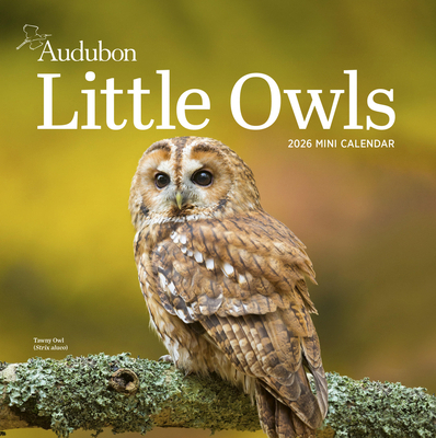 Audubon Little Owls Mini Wall Calendar 2026: A ... 1523531045 Book Cover