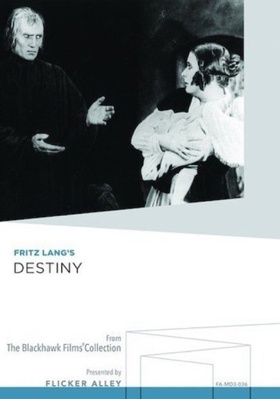 Destiny            Book Cover