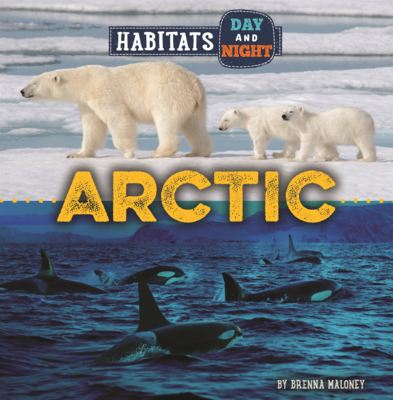 Arctic B0GMZHC274 Book Cover