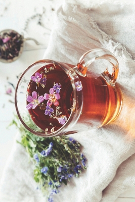 Unrefuted Homeopathy: Get UR Comprehensive Amri... B0CV4QD7MT Book Cover