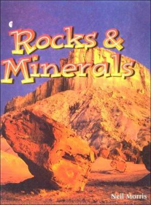 Rocks and Minerals 061308666X Book Cover