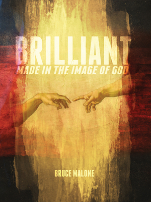 Brilliant: Made in the Image of God 1939456150 Book Cover
