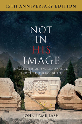 Not in His Image (15th Anniversary Edition): Gn... 164502136X Book Cover