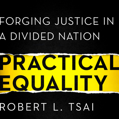 Practical Equality: Forging Justice in a Divide... 1684419034 Book Cover