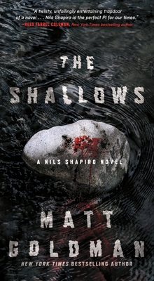The Shallows: A Nils Shapiro Novel 1250191335 Book Cover