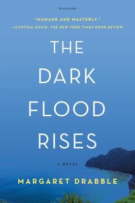 Dark Flood Rises 1250160057 Book Cover