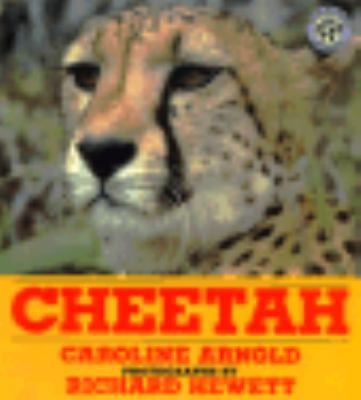 Cheetah 0688116965 Book Cover