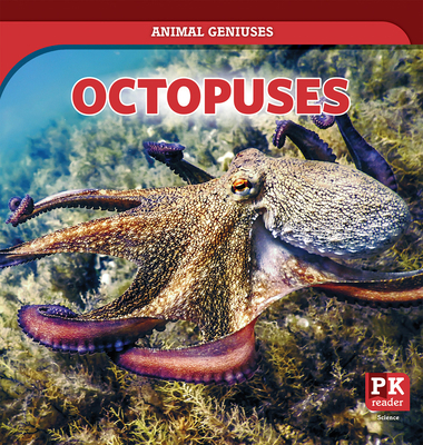 Octopuses 149945192X Book Cover