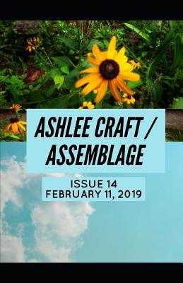 Issue 14 (Ashlee Craft / Assemblage) 1091500304 Book Cover