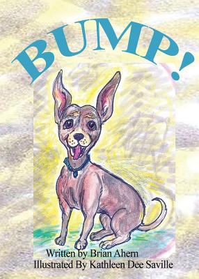 Bump! 1635530008 Book Cover