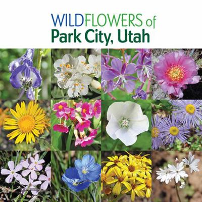 Wildflowers of Park City, Utah