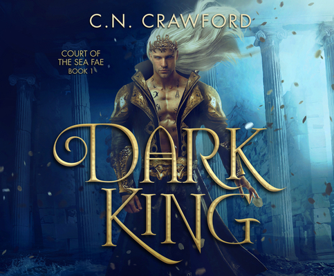 Dark King 1690556455 Book Cover