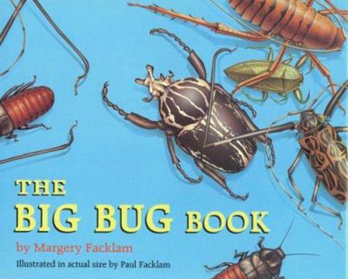 The Big Bug Book 0316273899 Book Cover