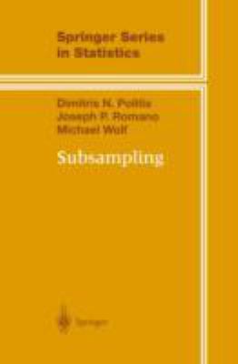 Subsampling 0387988548 Book Cover