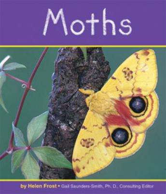 Moths 0736808523 Book Cover