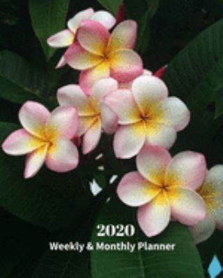 Paperback 2020 Weekly and Monthly Planner: Frangipani Flowers - Monthly Calendar with U.S./UK/ Canadian/Christian/Jewish/Muslim Holidays- Calendar in Review/Not Book