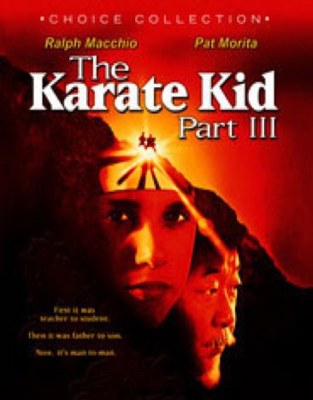 The Karate Kid Part III            Book Cover