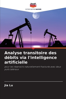 Analyse transitoire des débits via l'intelligen... [French] 6209471366 Book Cover