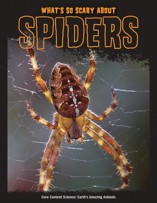 What's So Scary about Spiders? 1643711717 Book Cover
