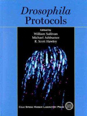 Drosophila Protocols 0879695862 Book Cover