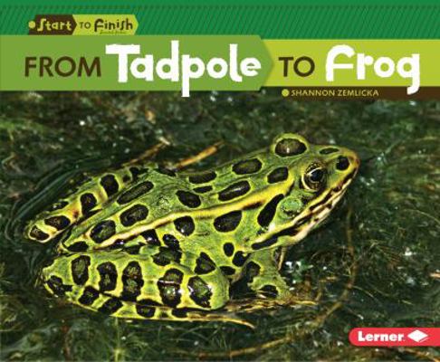 From Tadpole to Frog 0761365656 Book Cover