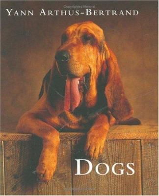Dogs 0304356301 Book Cover