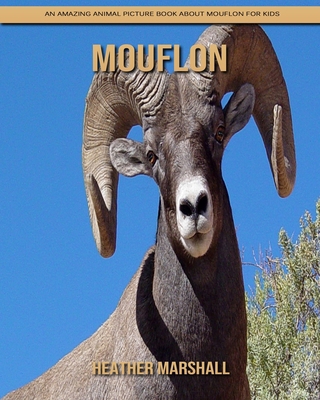 Paperback Mouflon: An Amazing Animal Picture Book about Mouflon for Kids [Large Print] Book