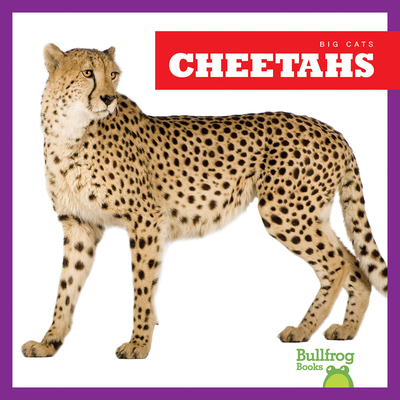 Cheetahs 1645277178 Book Cover