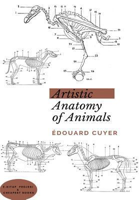 Artistic Anatomy of Animals 6057876717 Book Cover