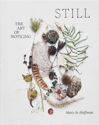 Still: The Art of Noticing 1580936334 Book Cover