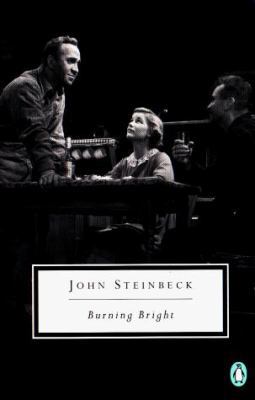 Burning Bright: A Play in Story Form 0140187421 Book Cover