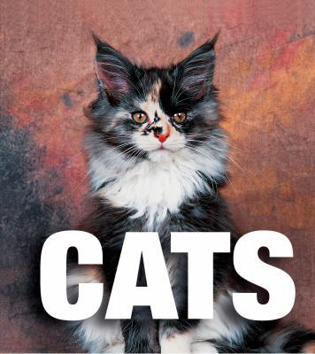Cats (Supercubes) 8854402974 Book Cover