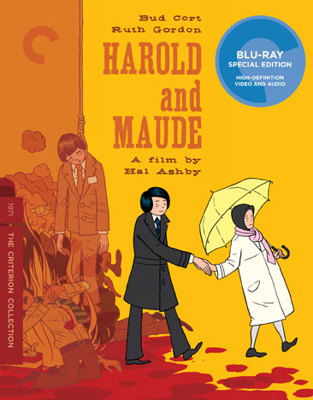 Harold And Maude            Book Cover