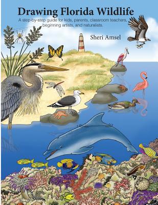 Drawing Florida Wildlife 1979583331 Book Cover