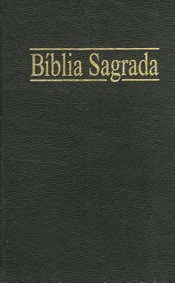Santa Bíblia Para la evangelización / For Evang... [Portuguese] 8531102731 Book Cover