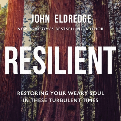 Resilient: Restoring Your Weary Soul in These T... B0C6VFSLLY Book Cover