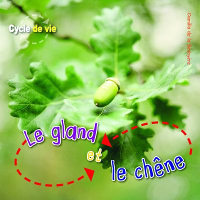 Cycle de Vie: Le Gland Et Le Ch?ne [French] 144311605X Book Cover