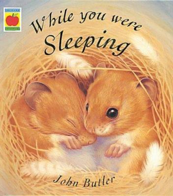 While You Were Sleeping 1841215899 Book Cover