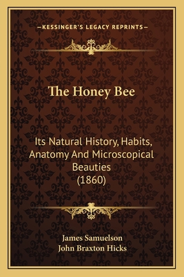 The Honey Bee: Its Natural History, Habits, Ana... 1164677489 Book Cover